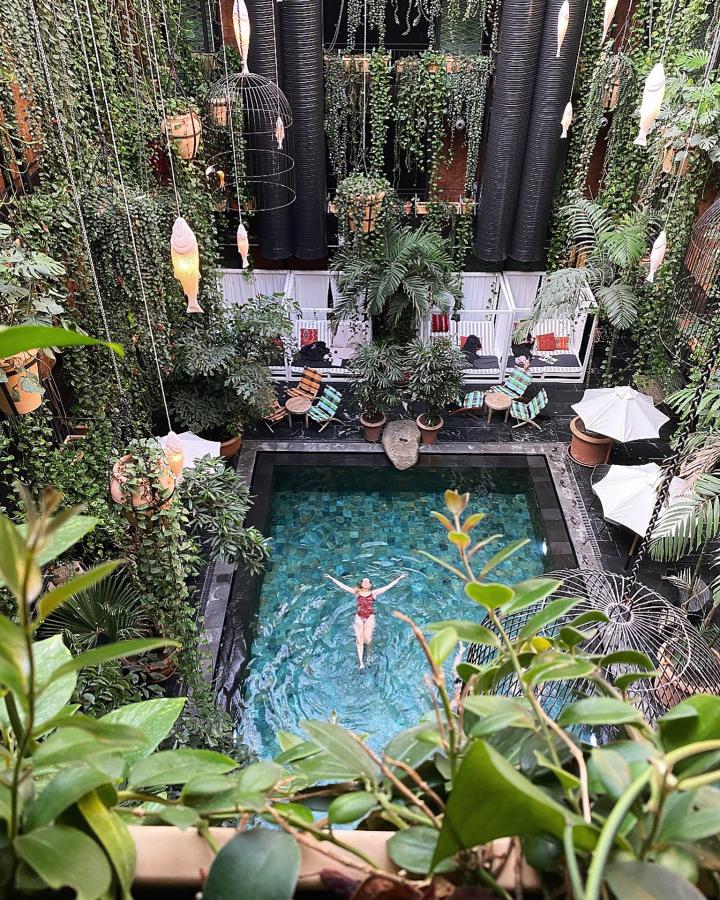 Kvinde svømmer i swimming pool blandt jungle-planter