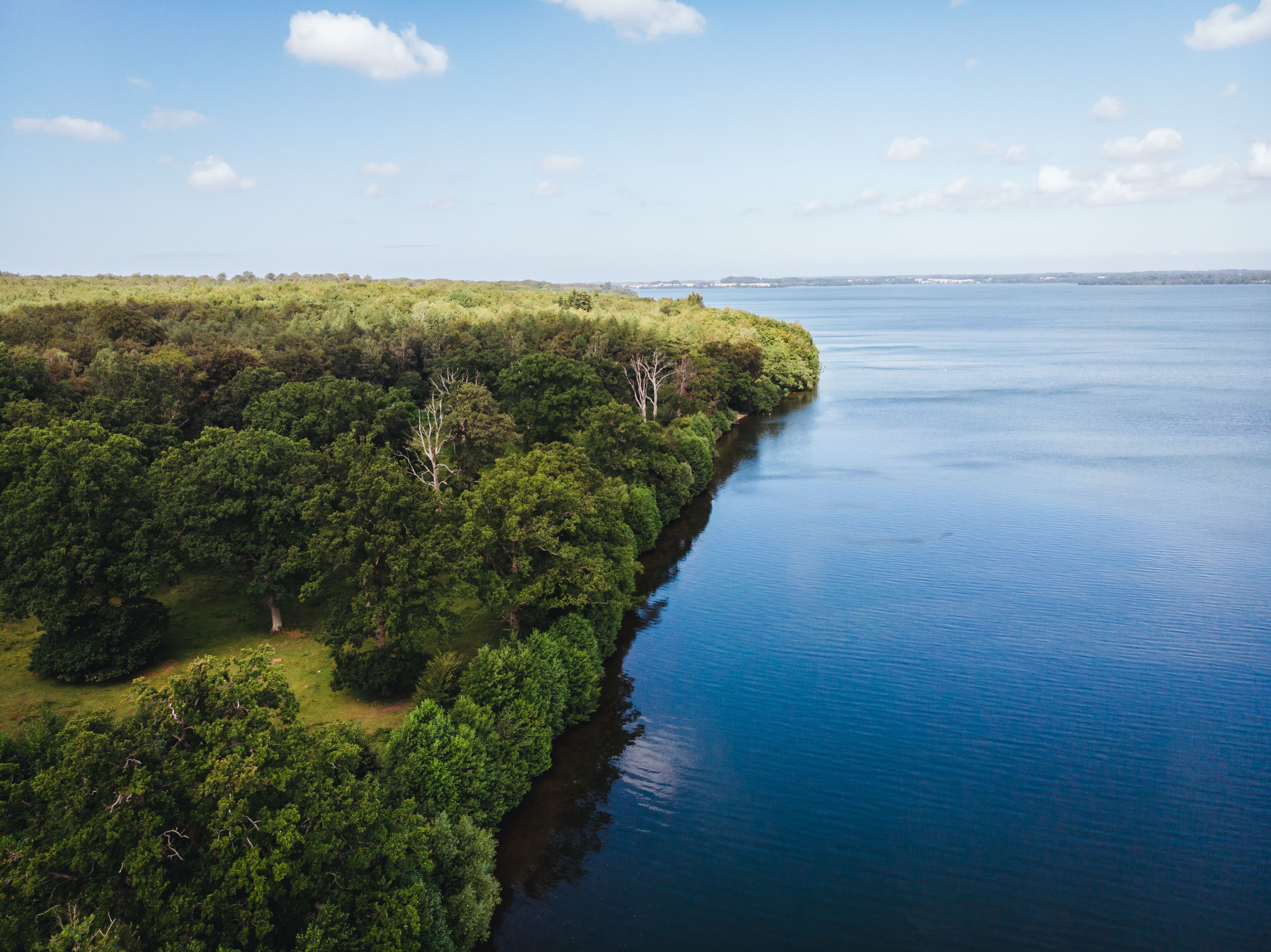 Naturbillede med skov og hav