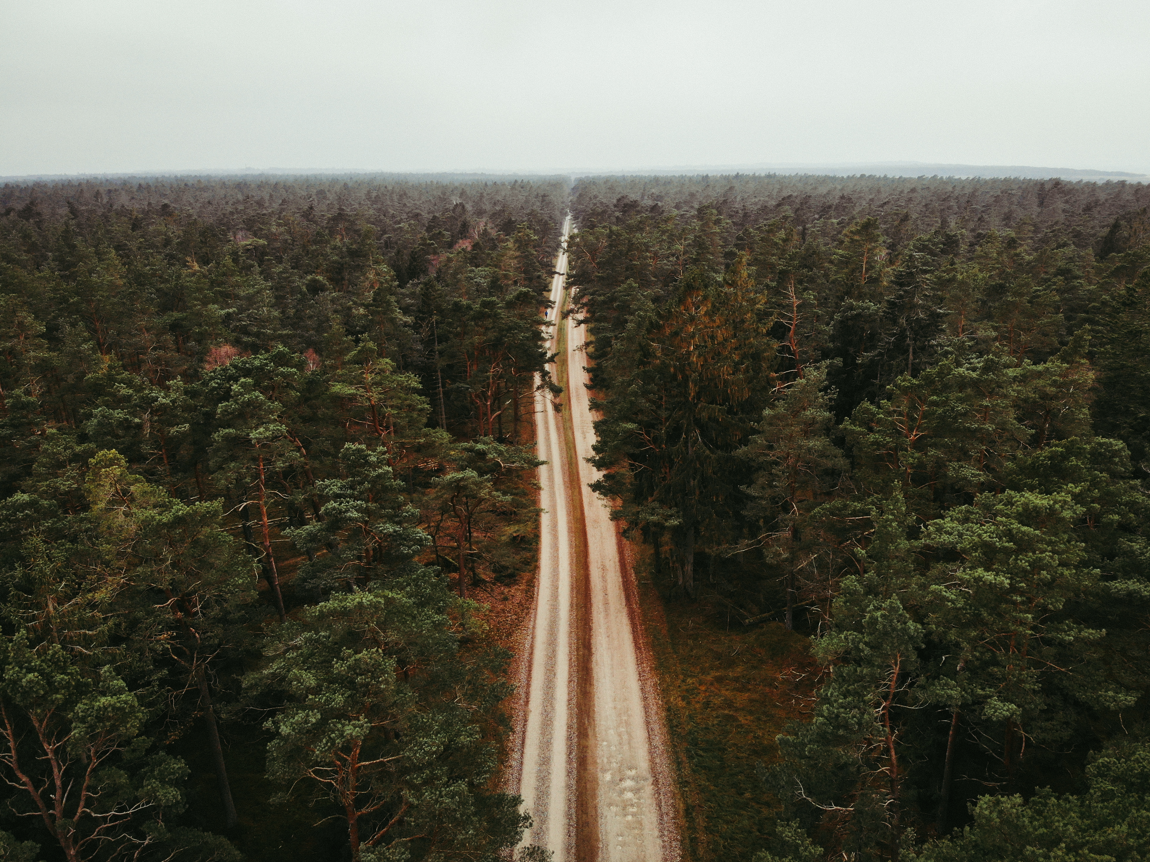 Tisvilde Hegn med smuk natur