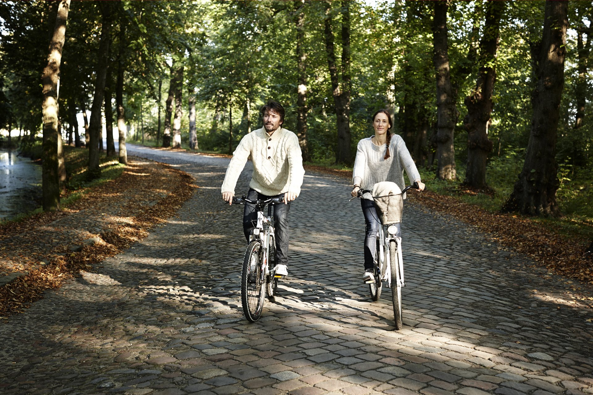 To personer cykler gennem skoven