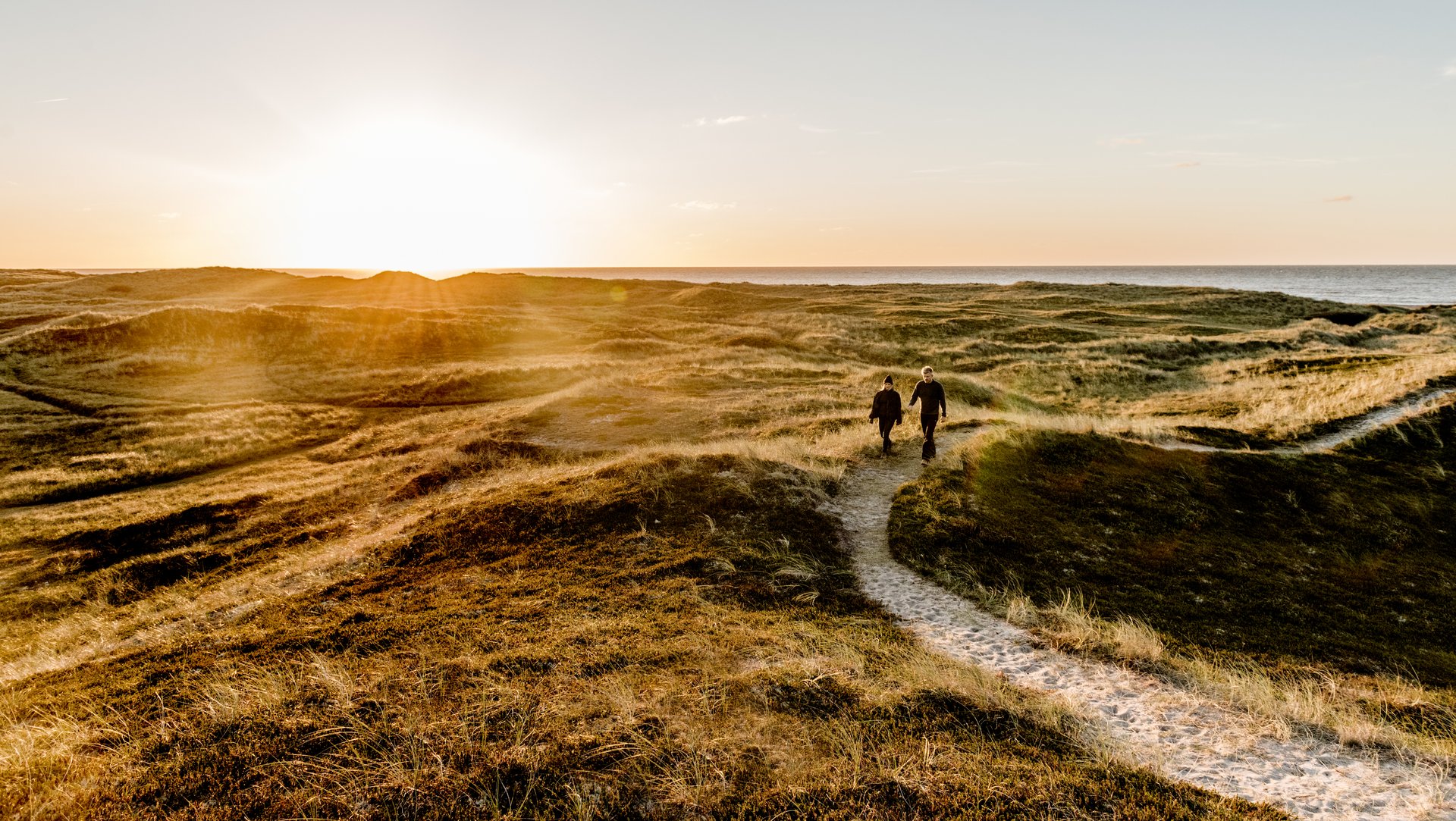 Foto af landskabet i Thy Naturpark