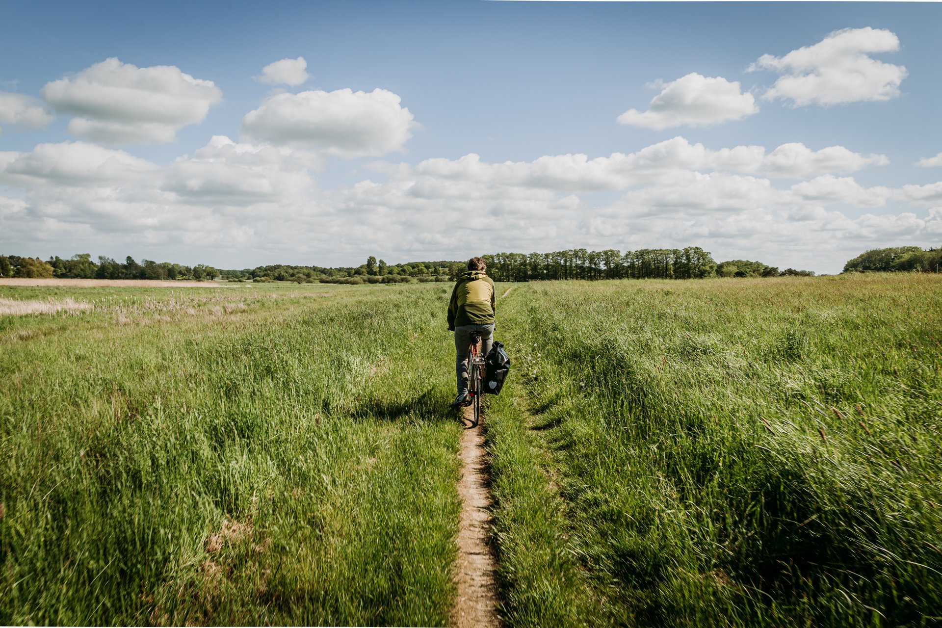 Foto af person der cykler gennem Hornbæk plantage 