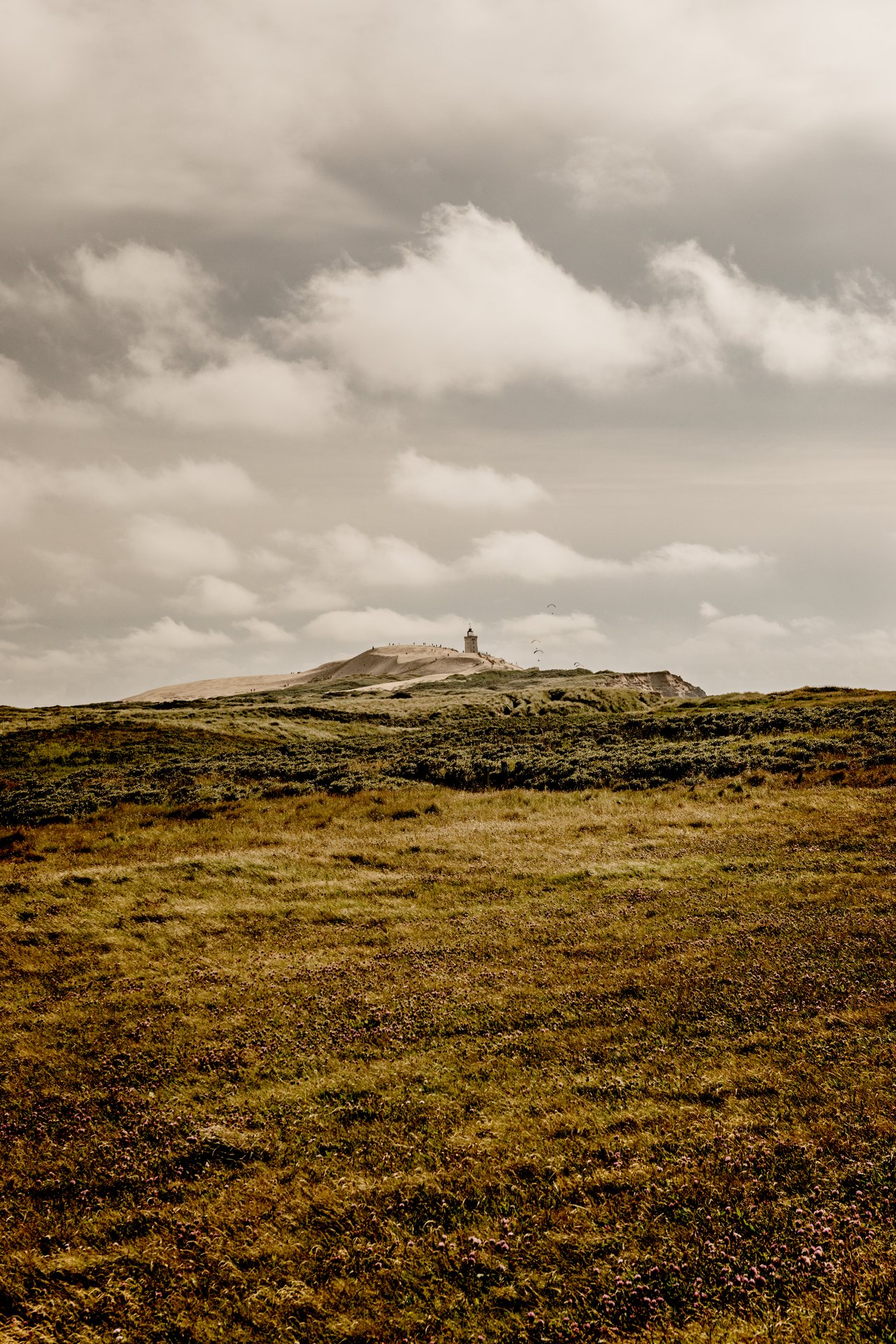 Naturfoto af Råbjerg Knude med fyrtårn i baggrunden