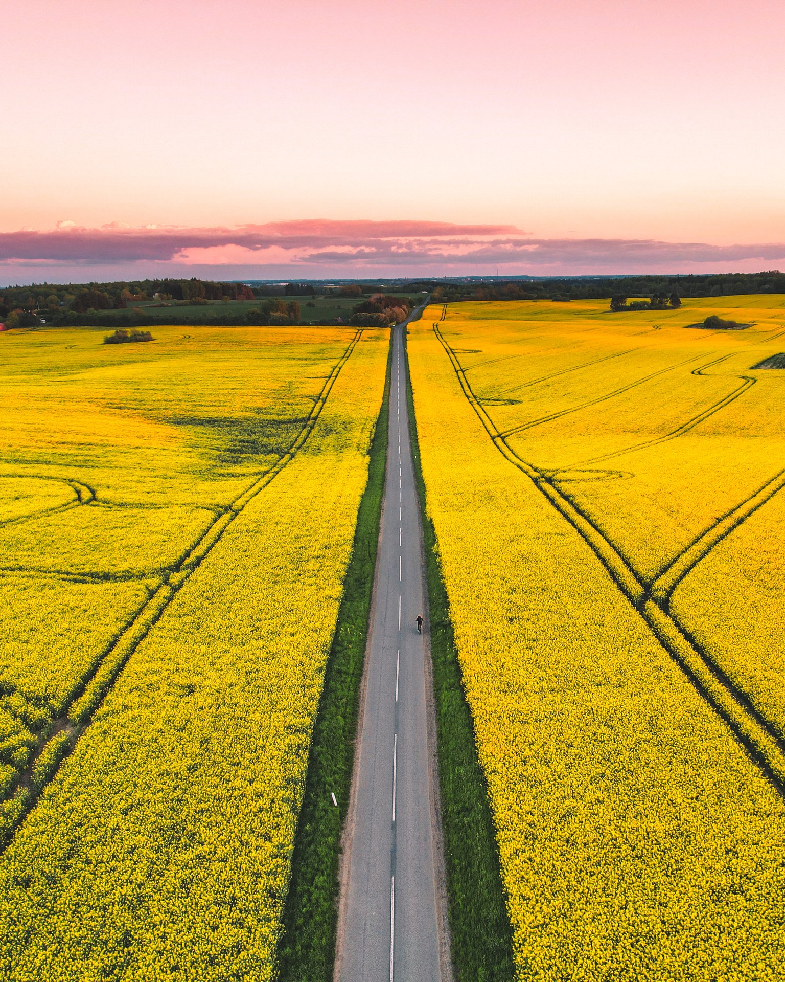 Luftfoto af en sti omgivet af gule marker