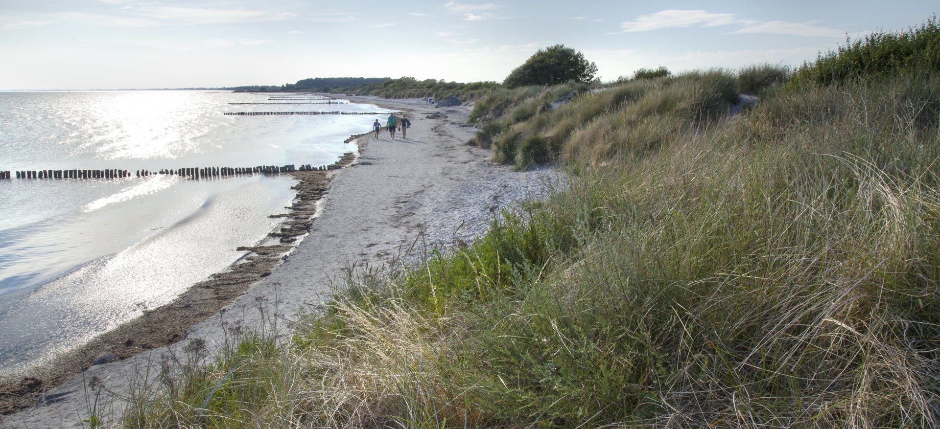 Tre personer går lands vandkanten på Møn strand
