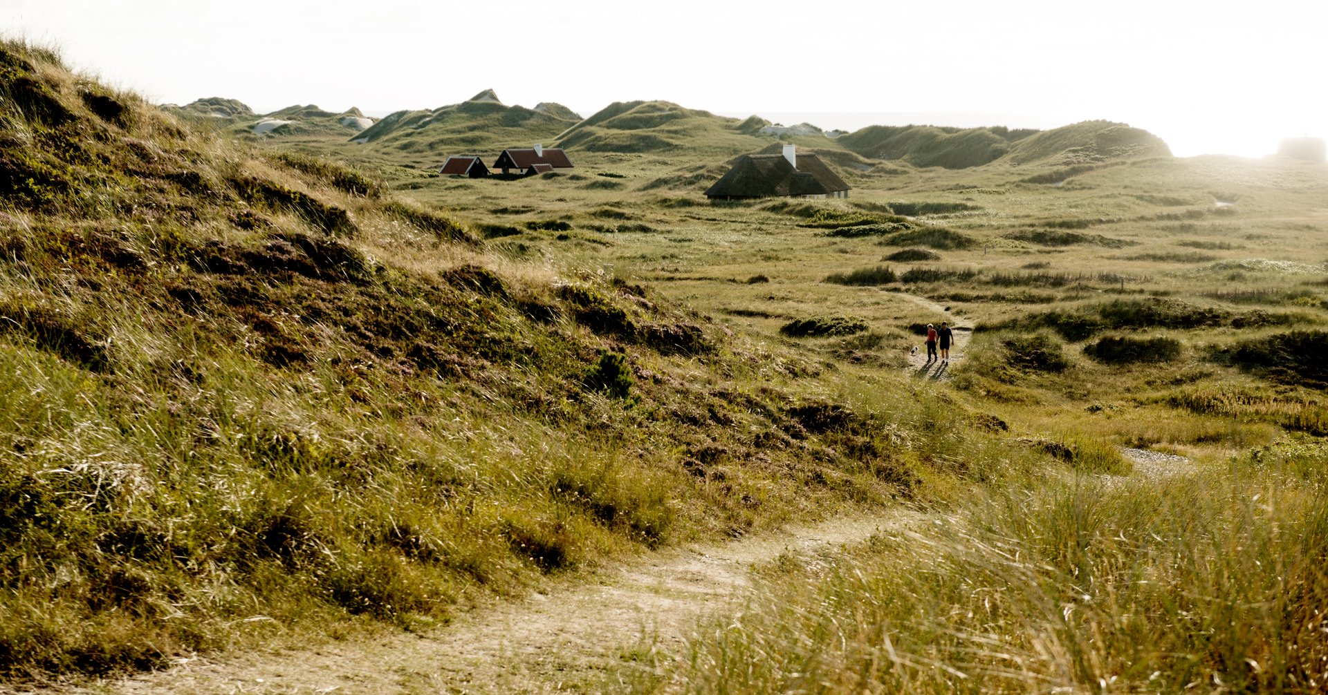 Foto af naturområde i Skagen med sommerhuse