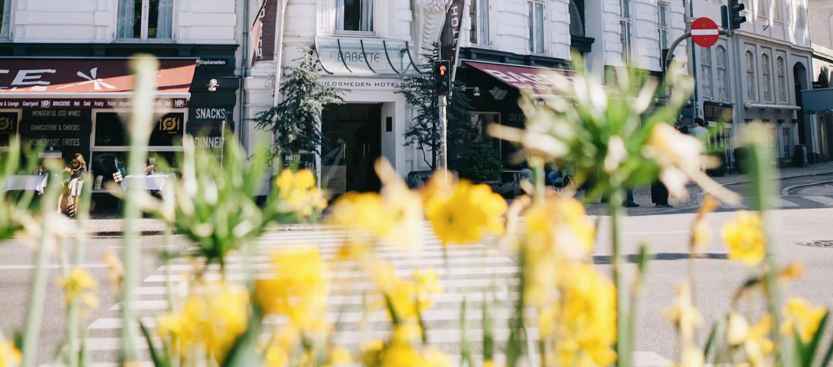 Foto af fronten på Hotel Babette med gule blomster i front